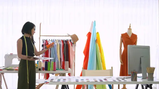 Fashion Designer